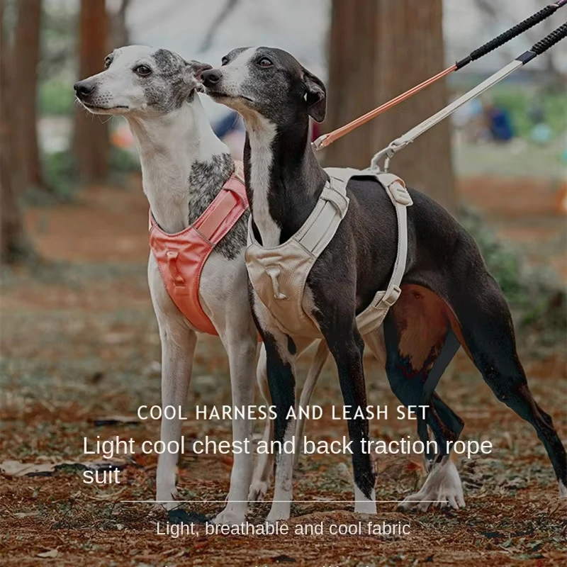 Anti-break Thin Light Comfort Dog Harness Airless terrier Greyhound Whipbit Bedlington Harnesses Dogs Accessories Pet Supplies