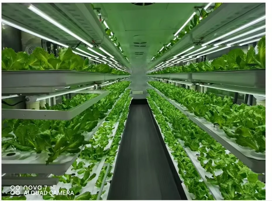 垂直農場水耕栽培タワーシステム屋内植栽棚温室農業機器きのこ野 - Hydroponic Farming Agriculture のレビューと価格
