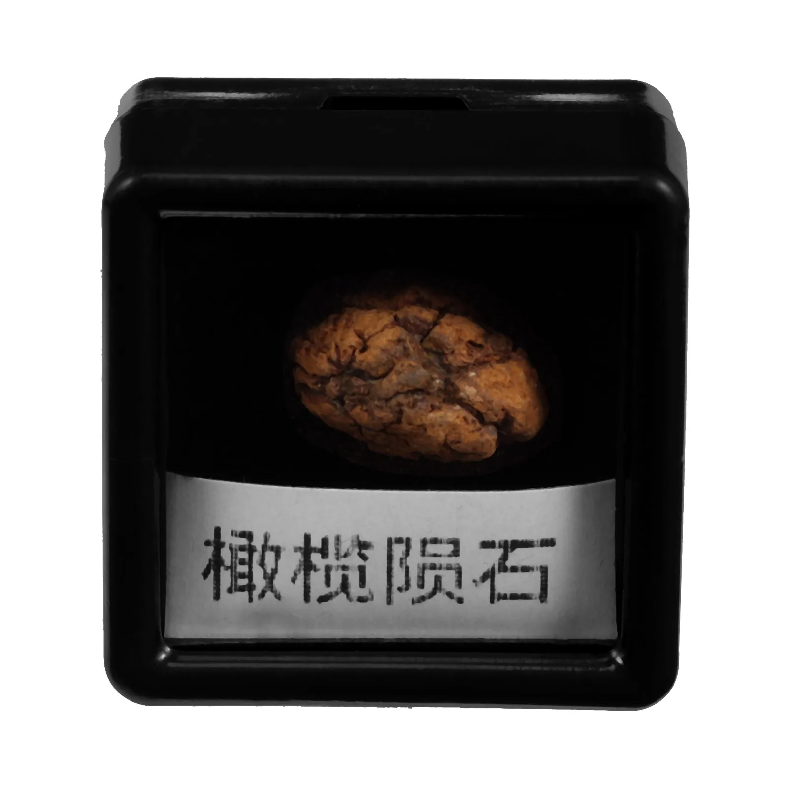 

Olive Meteorite Specimen 1-2cm Irregular Stone Sample for Science Classrooms Decor Educational Model meteorite science sample