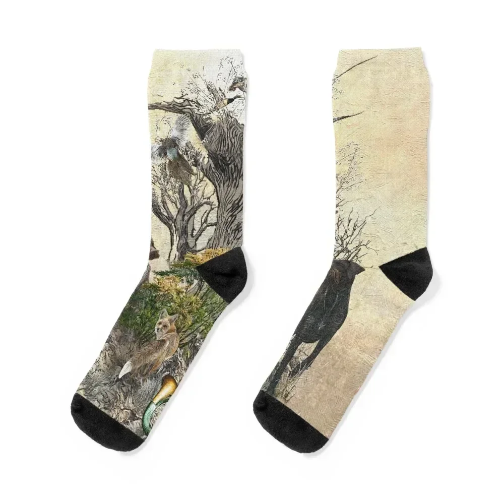 

Deutsch Drahthaar Socks custom sport colored hiphop Men Socks Women's