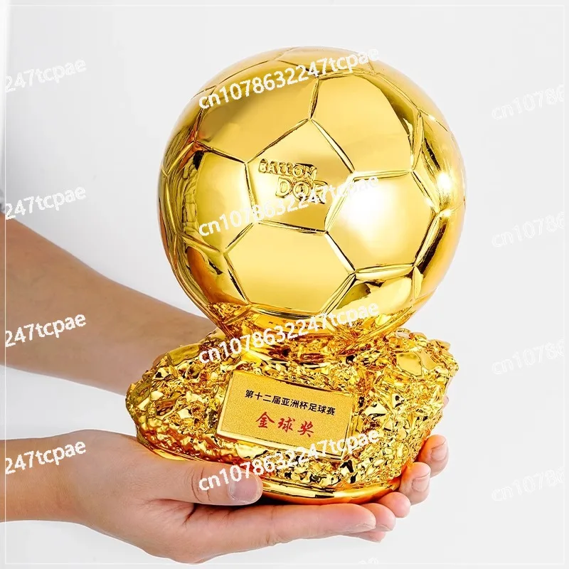 

Football Trophy Best Player Award Birthday Gift Football Trophy Decoration