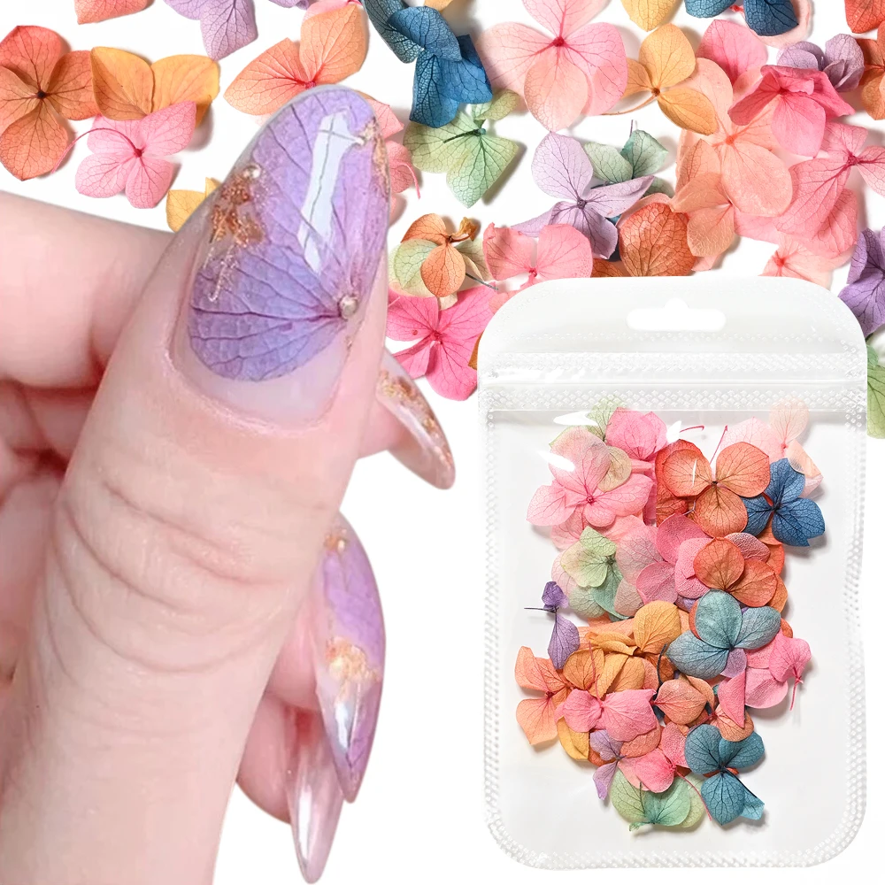 

50pc/Bag 3D Dried Flowers Mixed Gradient Colorful Flowers Nail Art & Resin Craft DIY Gel Polish Manicure Jewelry Tip Accessories