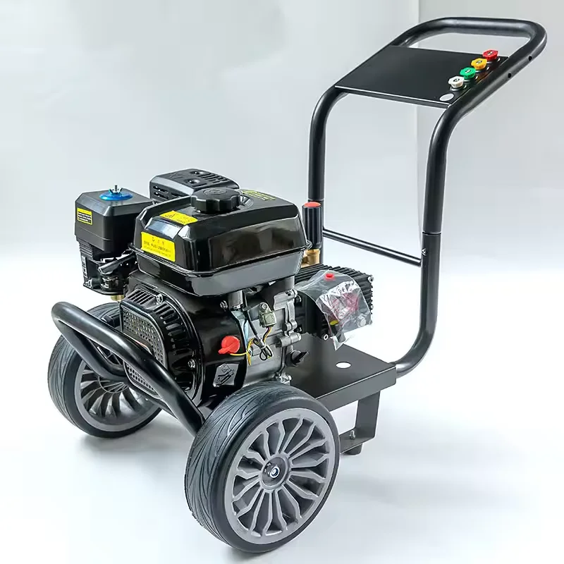 Portable 300Bar High Pressure  Jet Washer Model Car Cleaner with 220V Cold Water Manual Cleaning Process