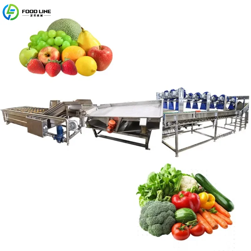 Customized High-Efficiency Fruit and Vegetable Washing Machine Bubble Washing Sprinkler System Commercial Equipment