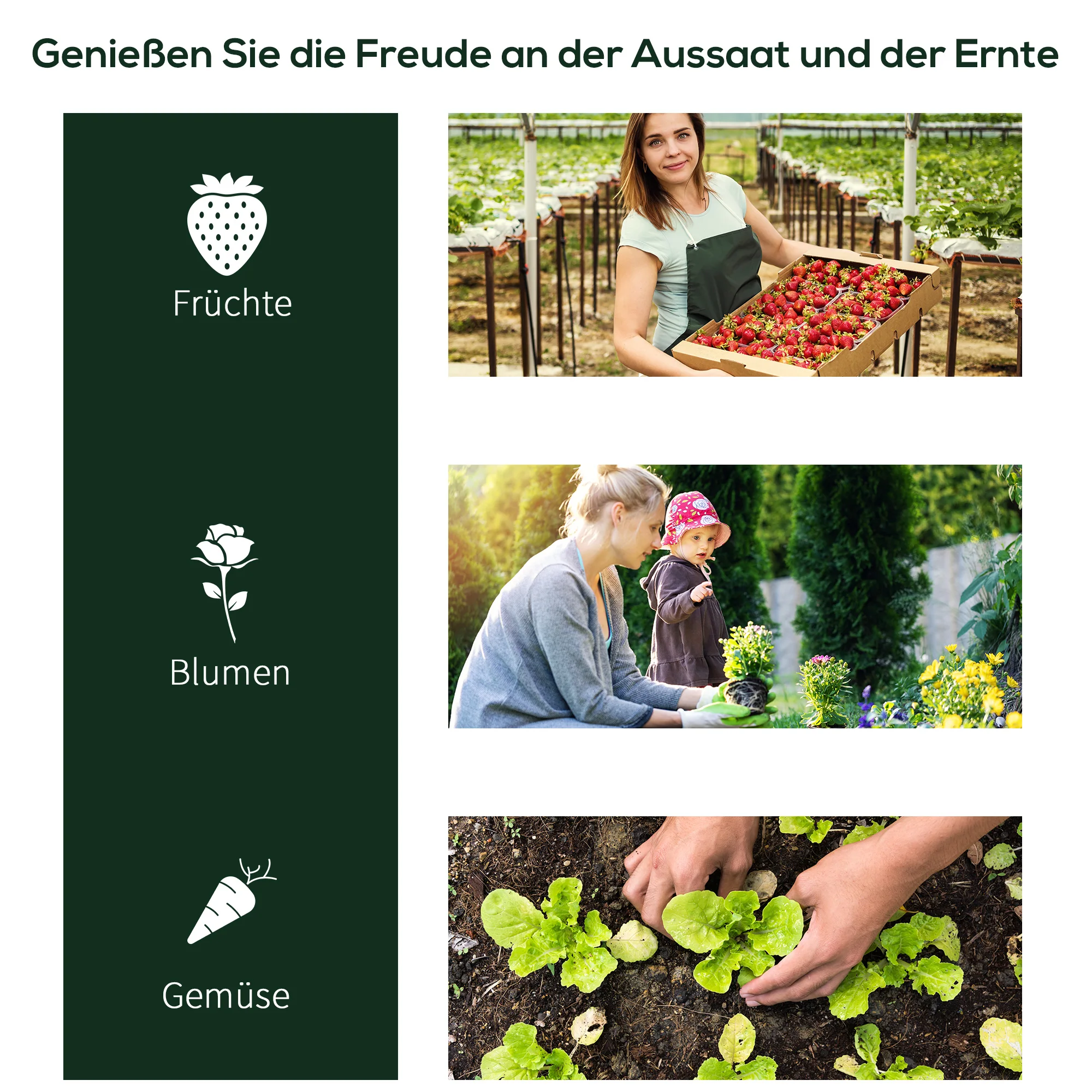 Outsunny Gewächshaus Treibhaus Frühbeet Tür Pflanzenhaus Pflanzenaufzucht kunststoff Ansicht 5