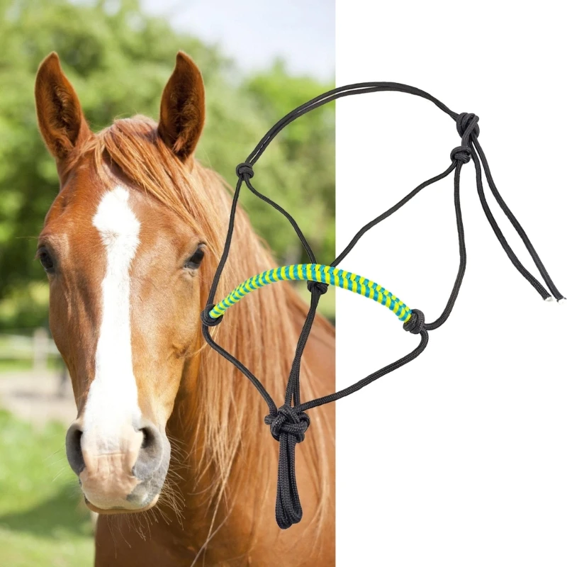 Ngựa Dây Nút Thắt Huấn Luyện Headstall Webbing Dây Chống Mòn Dây Dây Có Thể Điều Chỉnh Cưỡi Ngựa Dây Bền bỉ