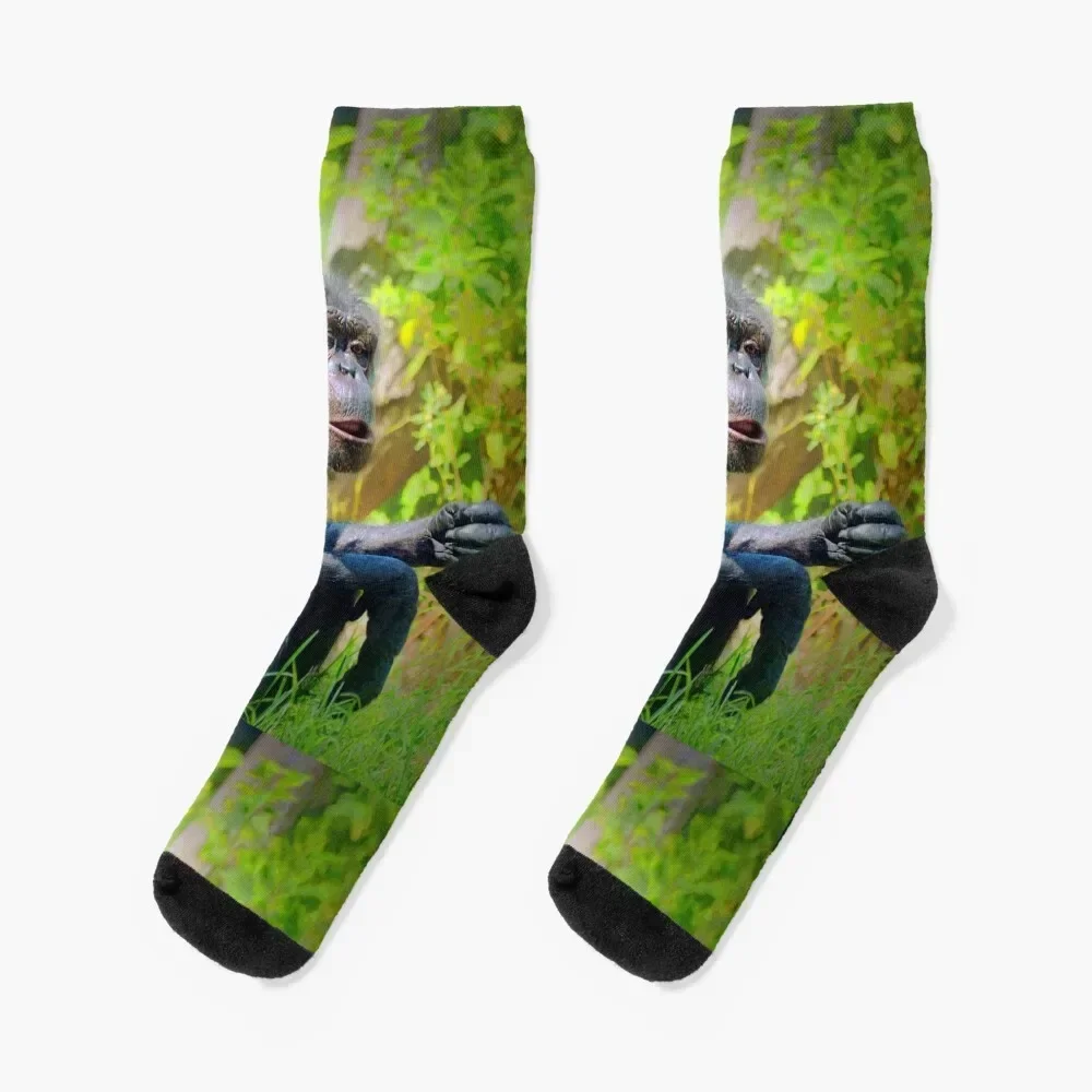 

Chimpanzee Socks Novelties Argentina winter soccer anti-slip Boy Socks Women's