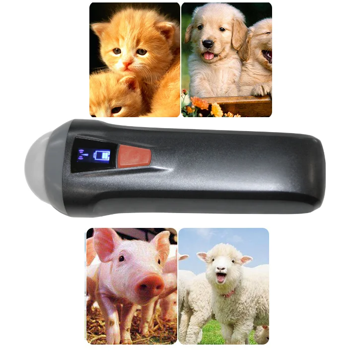 MC100vet Small and light wifi veterinary ultrasound probe for pig and sheep  checking