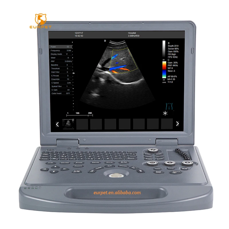 EURPET Digital System Equipment 2d 3d Human Veterinary Usg Color Doppler Price Ultrasound Machine Portable Ultrasound Scanner