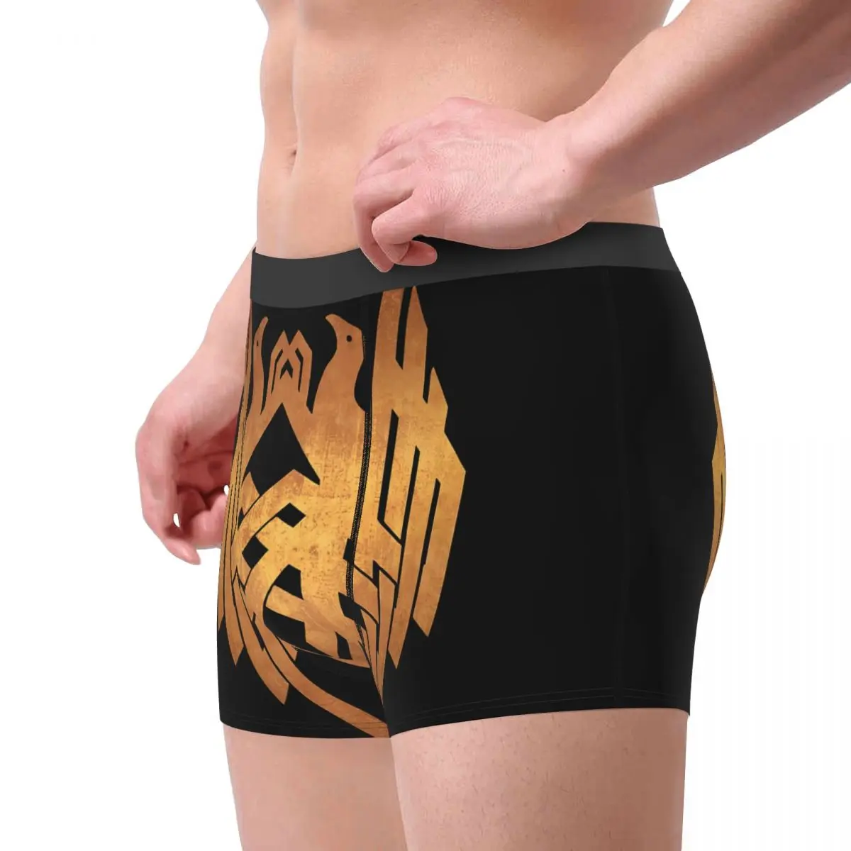 Dragon Age,Golden Hawke Family Crest Underpants Breathbale Panties Male Underwear Print Shorts Boxer Briefs