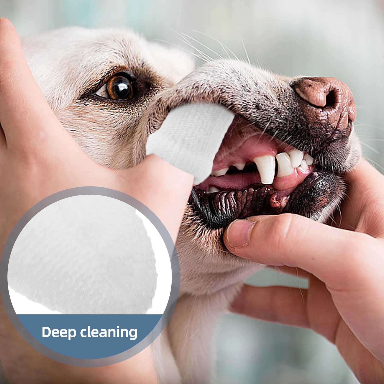 

10pcs Pet Cleaning Finger Cots White Small Dog Toothbrush Puppy Dental Sticks al Care Cat Grooming Tools Dog Toothbrush