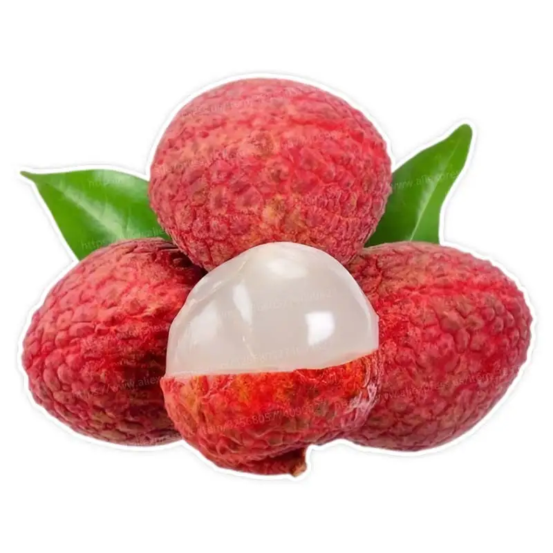 Fresh Fruit Papaya Passion Fruit Lemon Guava Apple Lychee Kitchen Refrigerator Home Decoration Decal Sticker S433