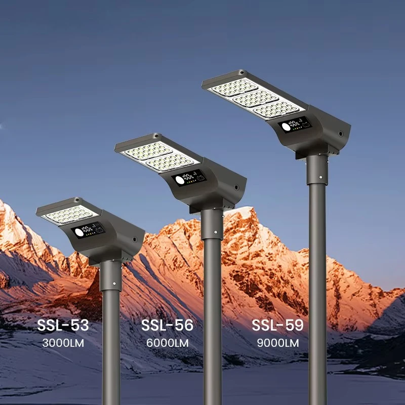 2025 SRESKY  High Quality 30W 4m  Ip65 Solar Outdoor Light Efficiency Led Solar Street Light