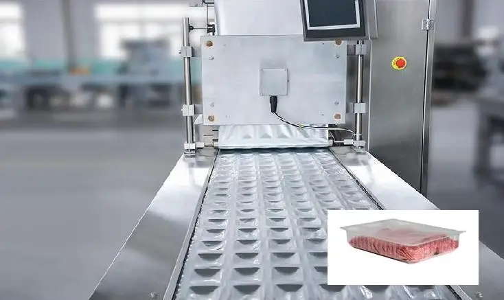 Macchina per sigillare l'azoto Termoforming Macchina per sottovuoto Sigillatrice Mesin Macchina per sigillare l'imballaggio