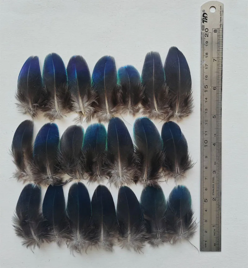 20Pcs/lot!4-10cm long Rare BLUE PEACOCK PLUMAGE WING FEATHERS LOOSE PEACOCK FEATHERS for Making Handicrafts