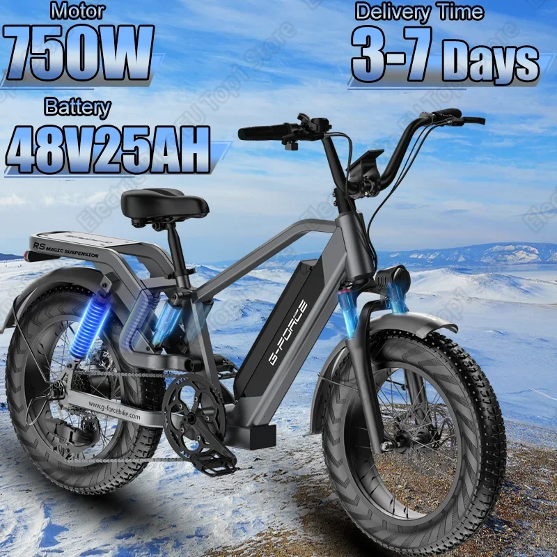 750W Powerful Motor Electric Bicycle 48V25AH Lithium Battery E-bike 20*4 Inch Fat Tire Hydraulic Brake All Terrain Electric Bike