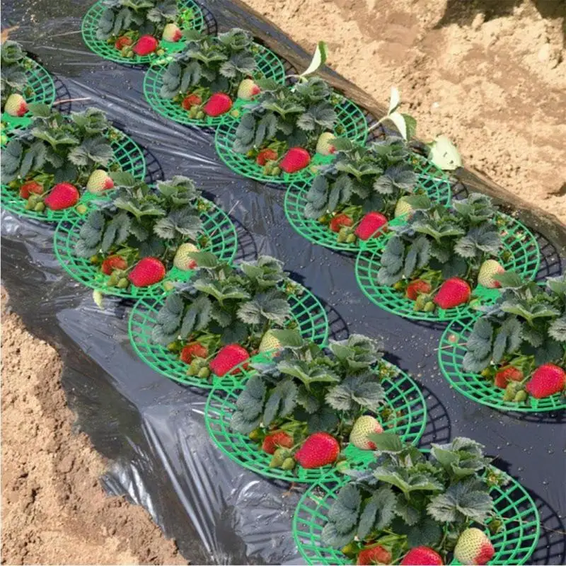 

10Pcs Strawberry Supports Plant Fruit Stand Vegetable Growing Rack With 3 Legs For Protecting Vines Avoid Ground Gardening