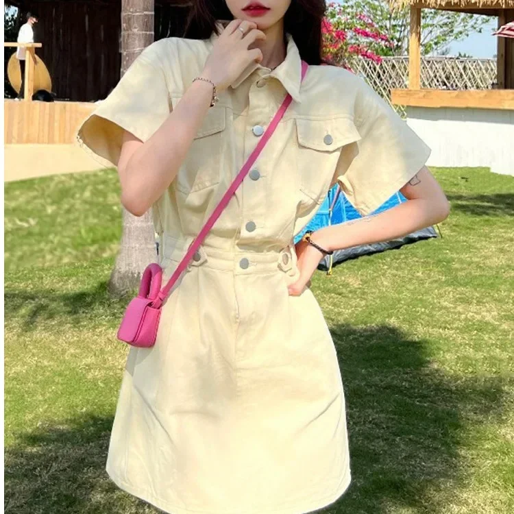 

2025 Summer New Women's Dress Polo Collar Commuting Short Workwear A-line Skirt