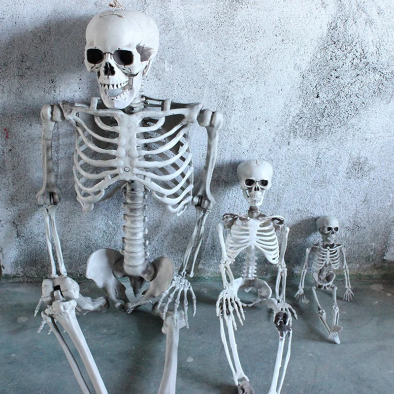 40CM 90CM 170CM simulazione scheletro ornamento Halloween Party Bar casa stregata puntelli Halloween Skull Bones Posable Full Life