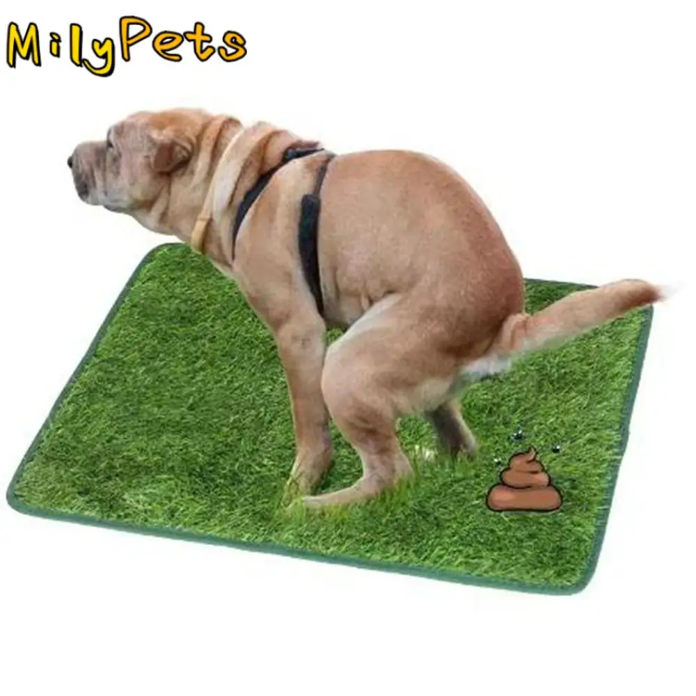 

Breathable Artificial Dog Grass Mat Comfortable Reusable Pet Pee Grass Pad Washable Anti Slip Simulated Lawn Dog Pads Outdoor