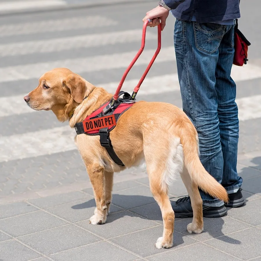 ป้ายปักข้อความห้ามสัมผัสสัตว์เลี้ยง 2 ชิ้น แบบใส พร้อมแถบตีนตุ๊กแก ง่ายต่อการอ่าน สำหรับเสื้อกั๊กสุนัข สายรัดคอ ขนาด 6 x 2 นิ้ว