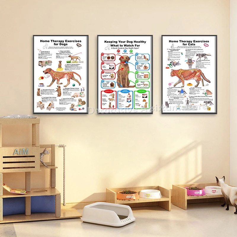 Dog Anatomy Diagram Poster Keeping Your Dog Cat Healthy Print Veterinary Wall Art Canvas Painting Animal Hospital Wall Decor