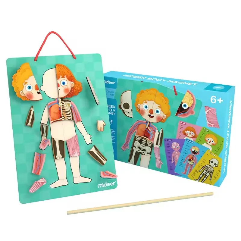 

Mideer 84 Pcs Body Magnet Human Body Recognition Puzzle Educational Toy Jigsaw Puzzle For Children Kids 6Y+