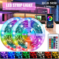 RGB LED Strip Lights 5050 Bluetooth APP IR Remote Control USB 1M 2M 3M 4M 5M 10M 15M 20M Festival Deco TV Backlight For Home