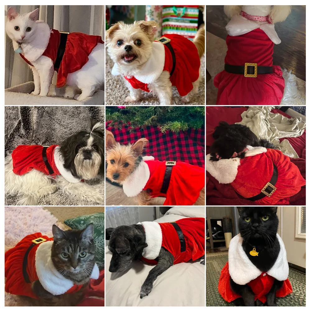 Weihnachten Haustier Kostüm für kleine mittelgroße Hunde Katzen Weihnachtsmann Cosplay Welpen Kleidung süße Chihuahua Yorkshire Party Haustier Outfits – Detail 6