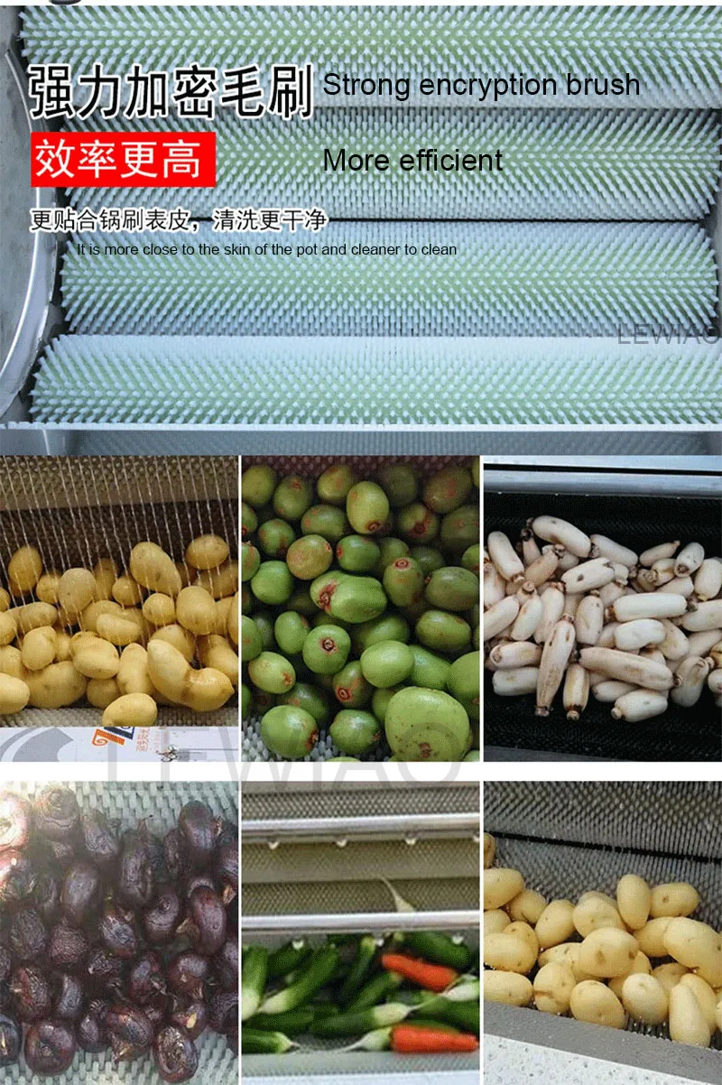 

Root Vegetable Fruit Ginger Cassava Washer Potato Cleaning Peeling Machine Ginger Skin Peeler