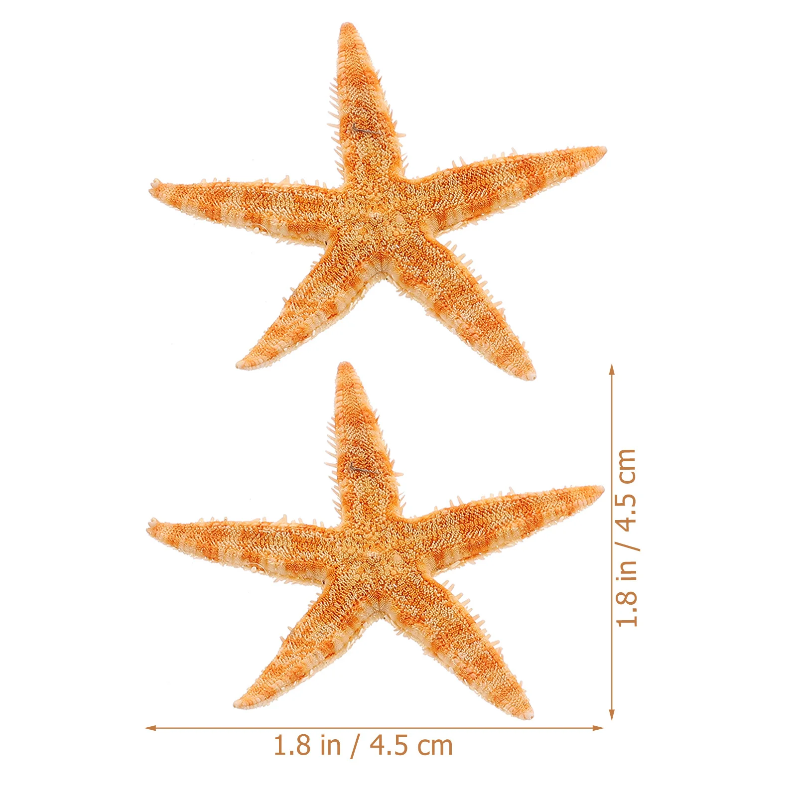 

100Pcs Sea Star Shell Craft Exquisite Natural Decor for Fish Tank DIY Decoration Creative Landscape Desktop Accent