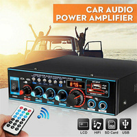 12V 220V 800W Car Hifi Power Amplifier Bluetooth 5.0 Amplifier Mini HIFI Digital Bluetooth Audio Power Amplifier 2.0 Channel