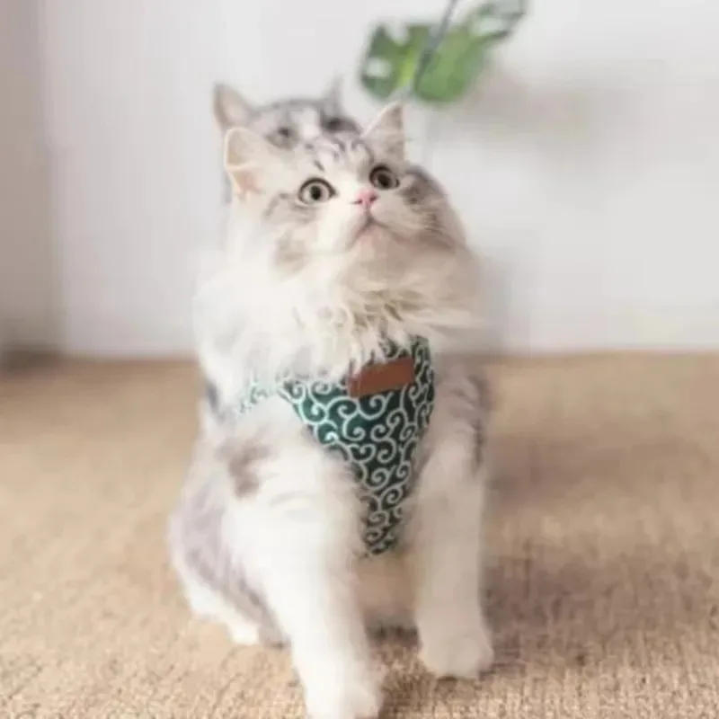 Pets S Vest Harness And Leash Anti-Break Away Chest Strap Clothes Pet Pneumothorax Back Leash The Cat Goes Out On A Leash