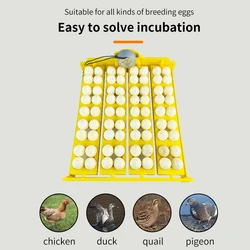 16/24 Eggs Incubator Eggs Automatic Incubator Incubator motor Turn Tray Poultry Incubation Equipment Farm Hatching Device