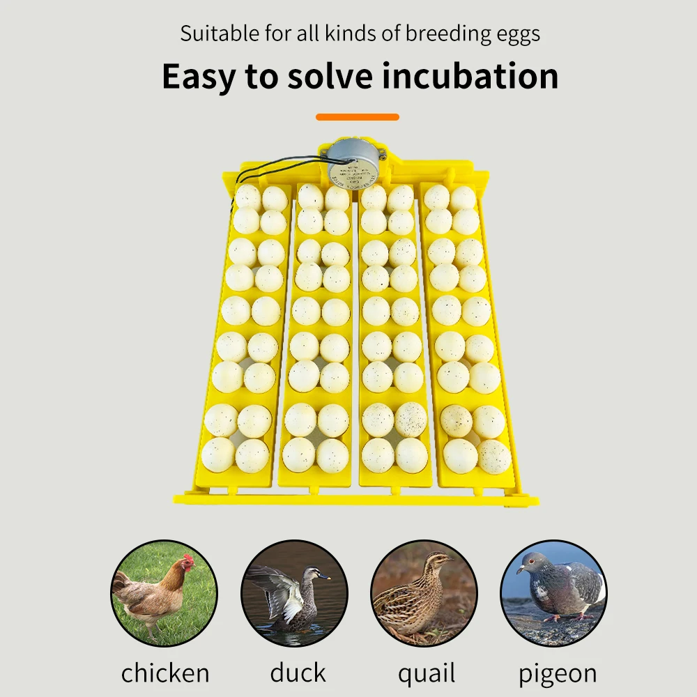 16/24 Eggs Incubator Eggs Automatic Incubator Turn Tray Poultry Incubation Equipment Farm poultry Hatching Device  for Chicken