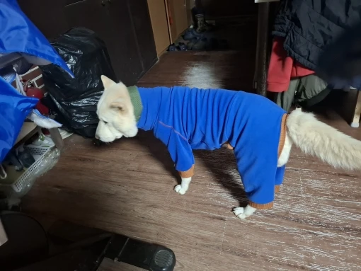 구매후기