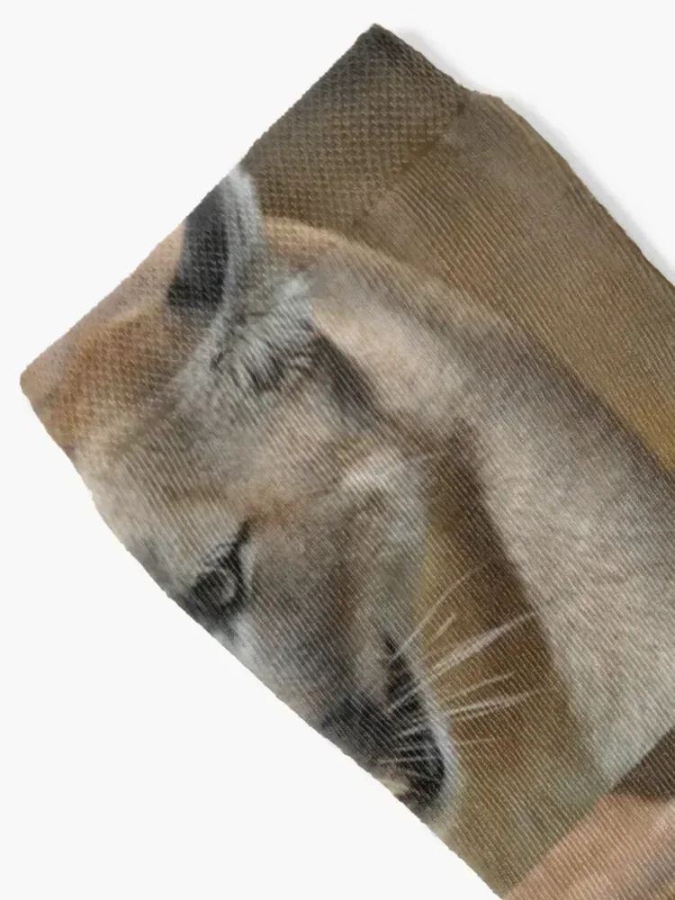 Cougar Socks bright garter Stockings man sports stockings aesthetic Man Socks Women's