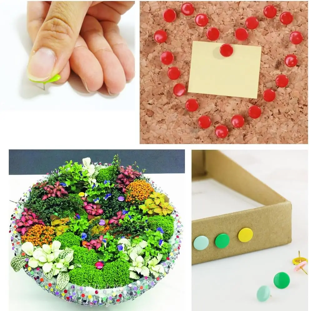 Multicolor Round Head Plastic Push Pins Thumbtacks