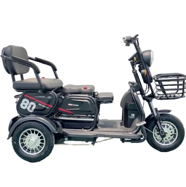 

China Factory Directly Supply Tricycles Motorcycle 3 Wheeler Moped for Handicapped