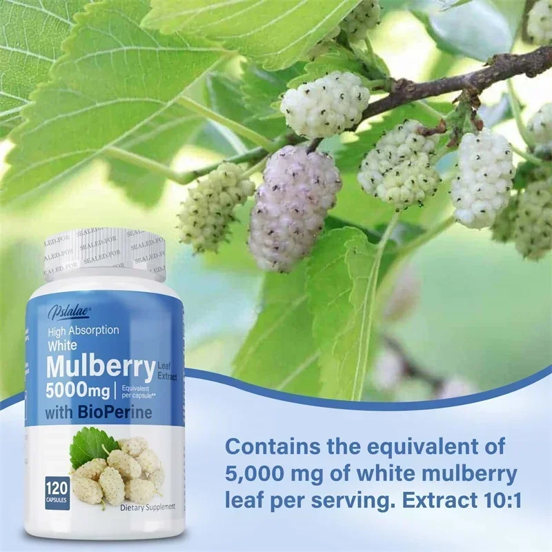 مستخلص التوت الأبيض - يدعم صحة القلب والأوعية الدموية، وإدارة الوزن، ودعم الكوليسترول، وتعزز مكمل المناعة