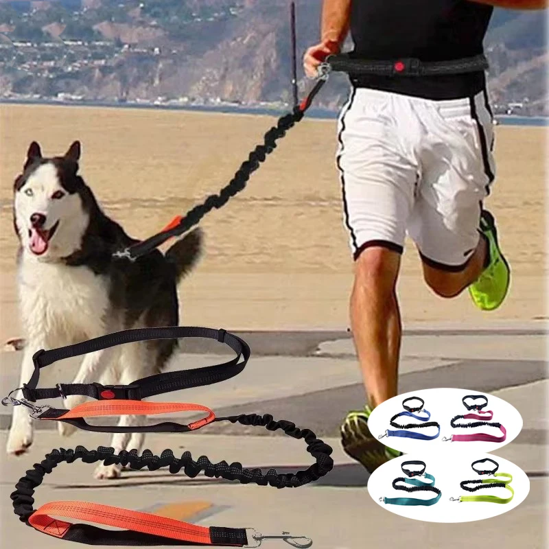 

Dogs Leash Running Elasticity Hand Freely Pet Products Dogs Harness Collar Jogging Lead and Adjustable Waist Rope