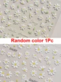Random Color 1Pc