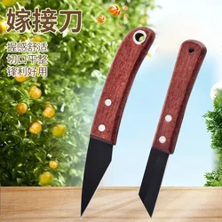 Cuchilla de acero para injerto, cuchillo afilado hecho a mano, duradero, especial para plántulas de flores