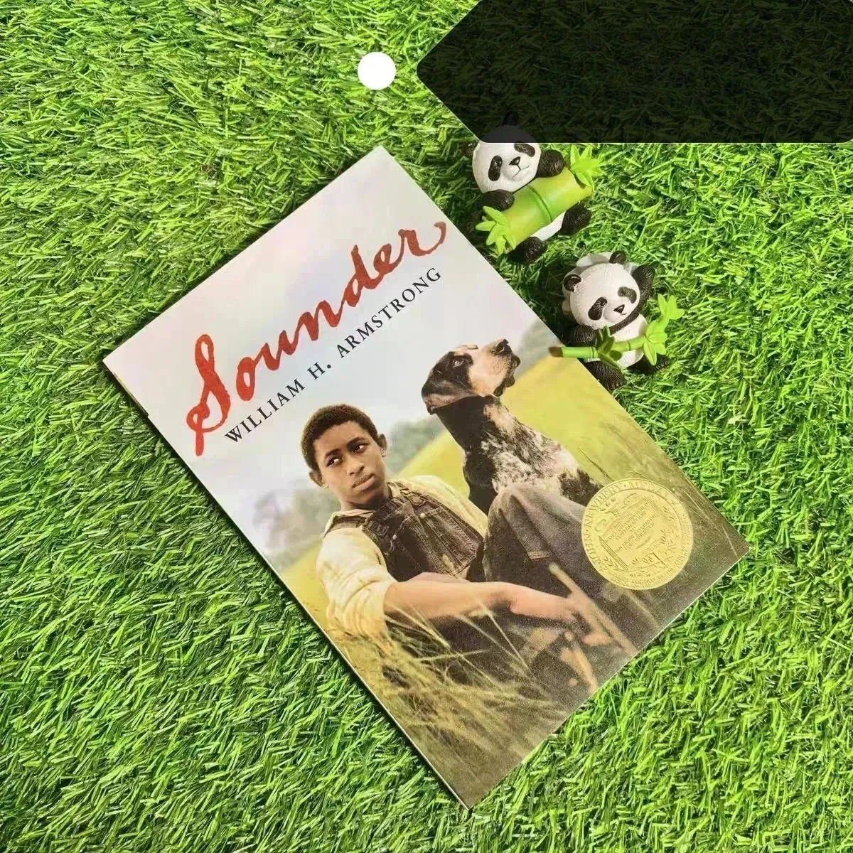 The Profound Friendship Between An African American Boy and His Hunting Dog Amidst Racial Discrimination and Social Injustice