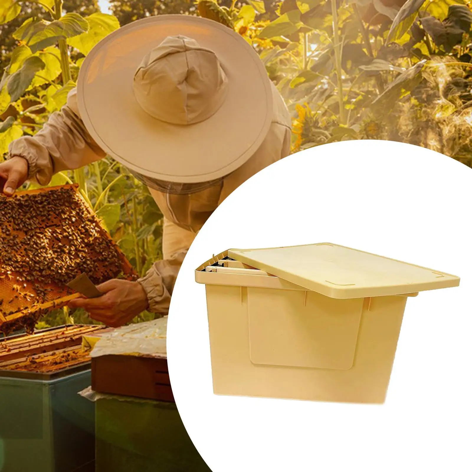 

Hive Frame Organizing Box Beekeeping Tool Easy Use with Lid Bee Management