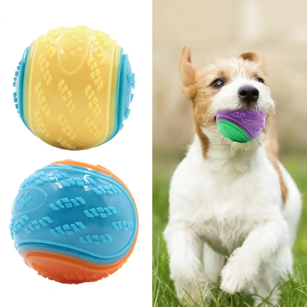 

Squeaky Dog Toy Attractive High Elasticity Contrast Color Interactive Easy Catching Dog Toy Indoor