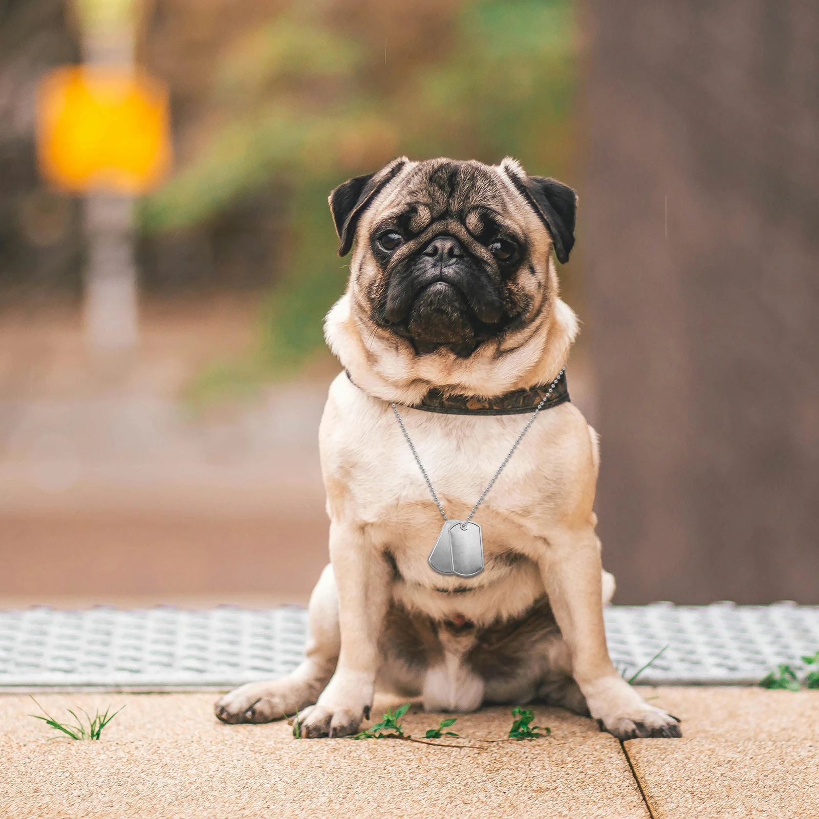 

10pcs Stainless Steel Pet Necklace Dog Tag Chain Durable Comfortable Fit Secure Design for Small Large Dogs Lightweight Jewelry