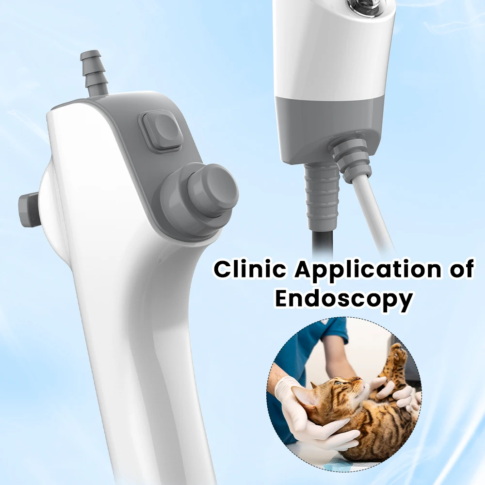 

ENT Veterinary Endoscope Camera Multi-function Flexible Urology Endoscopy Cystoscope For Animal Pet Surgical Equipment