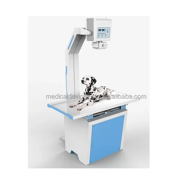 200mA Medical Digital Radiography Veterinary X Ray Machine/animal X-ray Machine For Vet