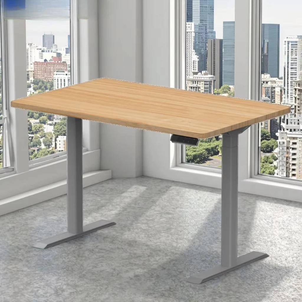 

Smart Standing Desk, Dual Motor Height Adjustable Electric Desk, Modern Ergonomic Office Table for Home, Easy Assembly